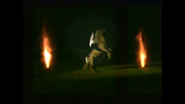 Night Performance